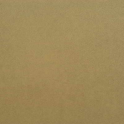 Sample - Genslar.116.0 | Kravet Design,  - Kravet Design Fabric