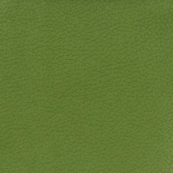 Purchase Genslar.333.0 Kravet Design,  - Kravet Design Fabric