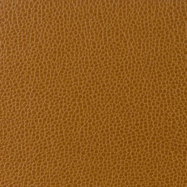Sample - Gillian.24.0 | Kravet Design,  - Kravet Design Fabric