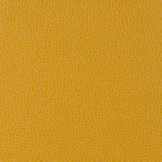 Purchase Gillian.414.0 Kravet Design,  - Kravet Design Fabric
