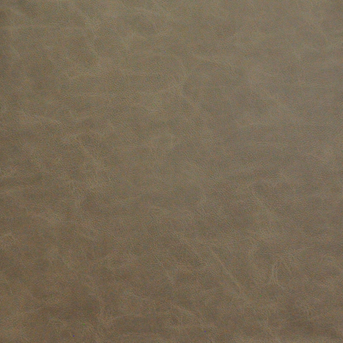 Granger | # 742 Branch - Maxwell Fabric