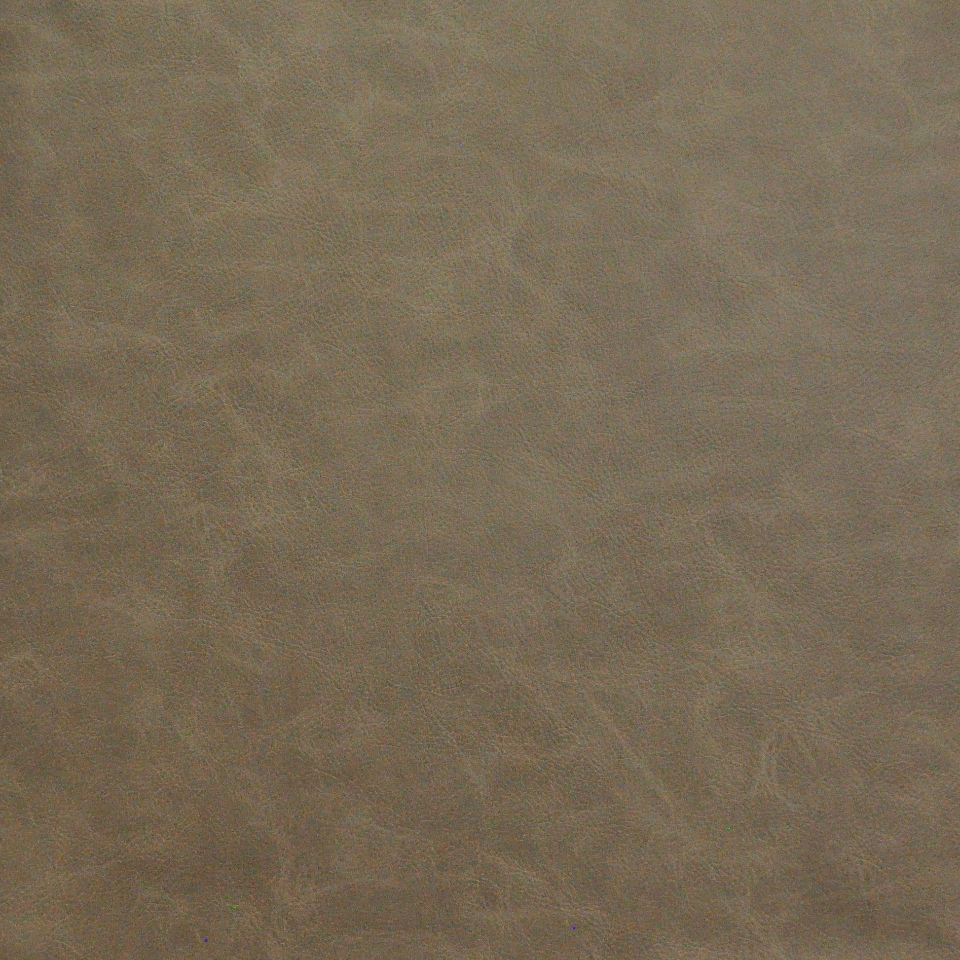 Purchase Maxwell Fabric - Granger, # 742 Branch
