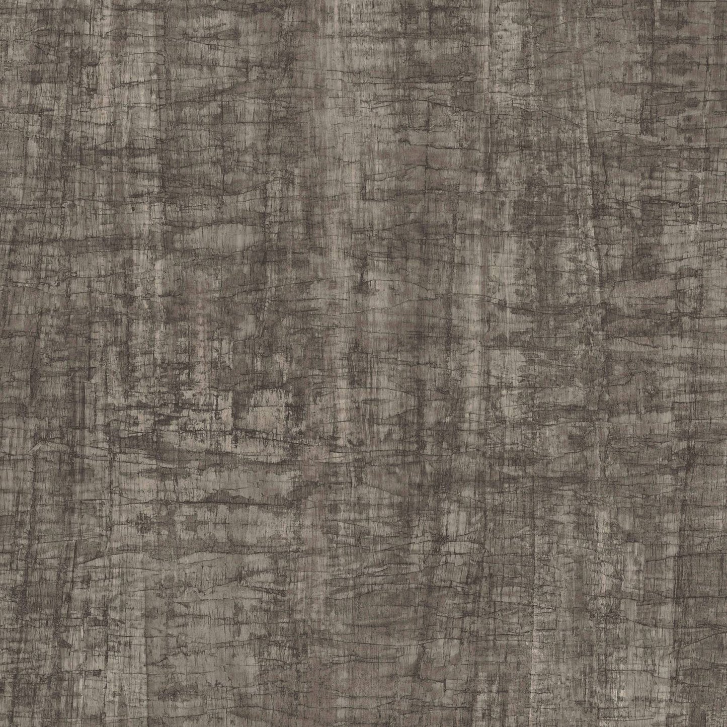 Purchase Gn2552 | Woodnote, Monteverde Black - York Wallpaper