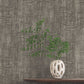 Purchase Gn2552 | Woodnote, Monteverde Black - York Wallpaper