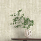 Purchase Gn2553 | Woodnote, Monteverde Buff - York Wallpaper