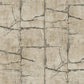Purchase Gn2581 | Woodnote, Mojave Taupe - York Wallpaper