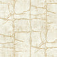 Purchase Gn2584 | Woodnote, Mojave Gold - York Wallpaper