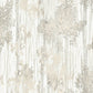 Purchase Gn2603 | Woodnote, Aspen Grove Grey - York Wallpaper