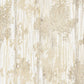 Purchase Gn2604 | Woodnote, Aspen Grove Sand - York Wallpaper