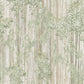 Purchase Gn2606M | Woodnote, Aspen Grove Forest Mural - York Wallpaper
