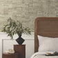 Purchase Gn2651 | Woodnote, Pop The Cork Taupe - York Wallpaper