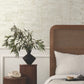 Purchase Gn2655 | Woodnote, Pop The Cork White - York Wallpaper