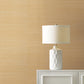 Purchase Gv0111Nw | Grasscloth & Natural Resource, Maguey Sisal - Ronald Redding Wallpaper