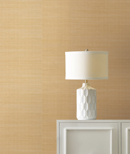 Purchase Gv0111Nw | Grasscloth & Natural Resource, Maguey Sisal - Ronald Redding Wallpaper