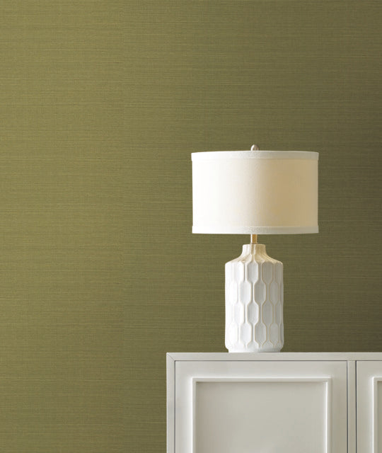 Purchase Gv0145Nw | Grasscloth & Natural Resource, Maguey Sisal - Ronald Redding Wallpaper