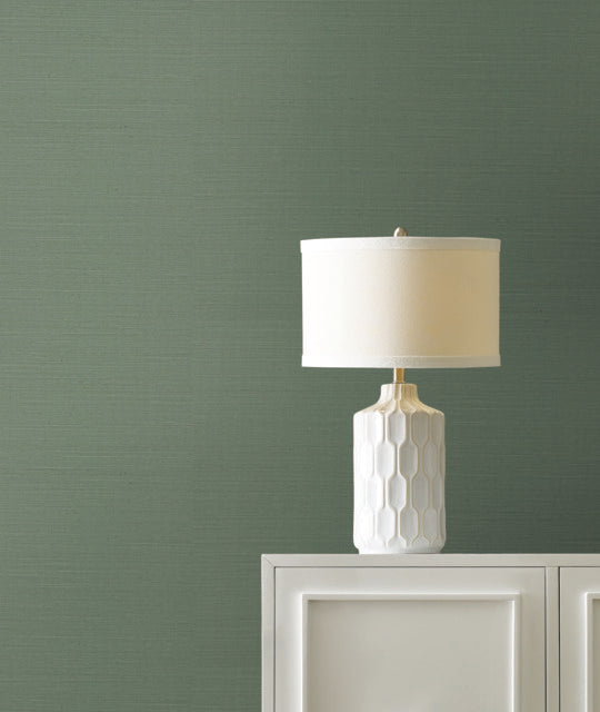 Purchase Gv0146Nw | Grasscloth & Natural Resource, Maguey Sisal - Ronald Redding Wallpaper