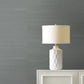 Purchase Gv0170Nw | Grasscloth & Natural Resource, Maguey Sisal - Ronald Redding Wallpaper