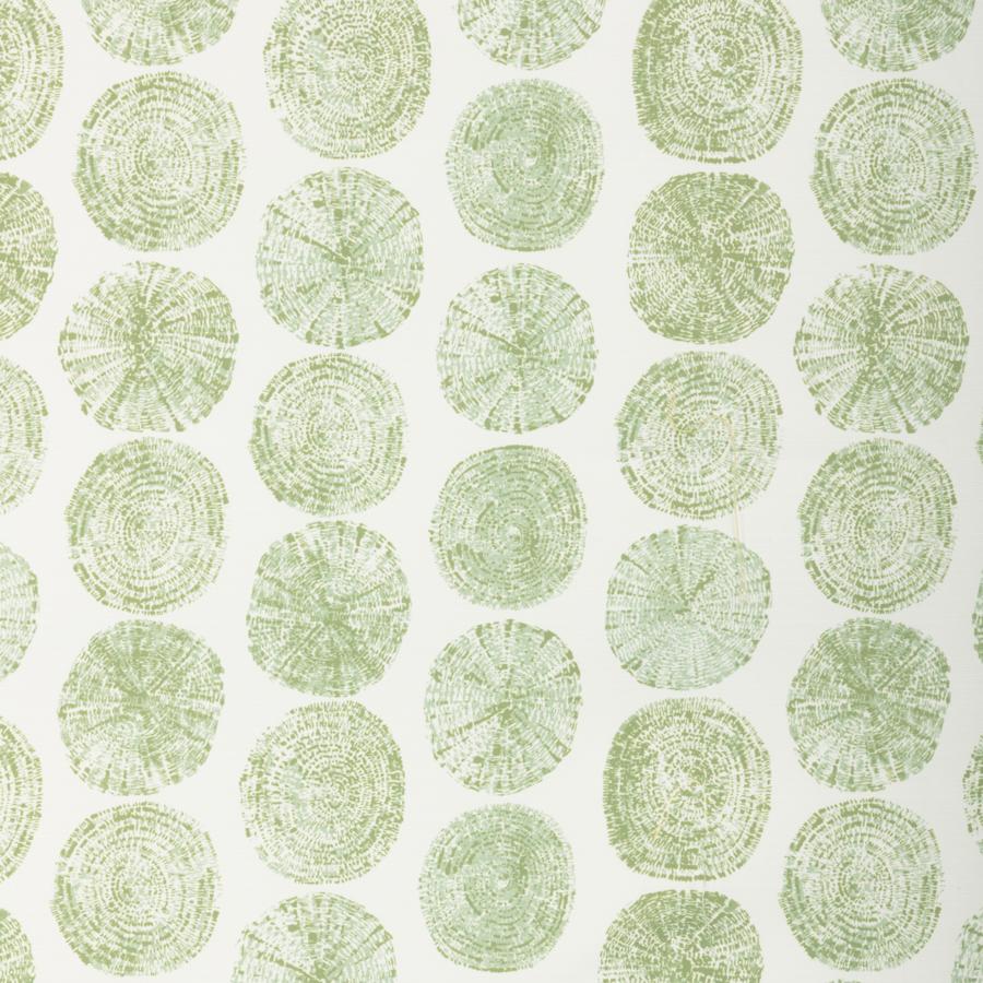 Purchase Gwf-3857.23.0 Heartwood, Aloe - Lee Jofa Modern Fabric