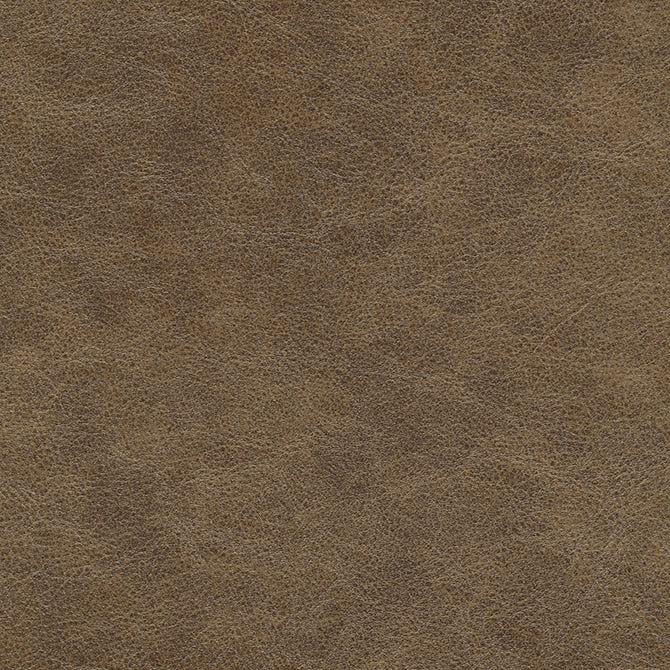 Purchase Maxwell Fabric - Hoth-Nj, # 698 Traverse