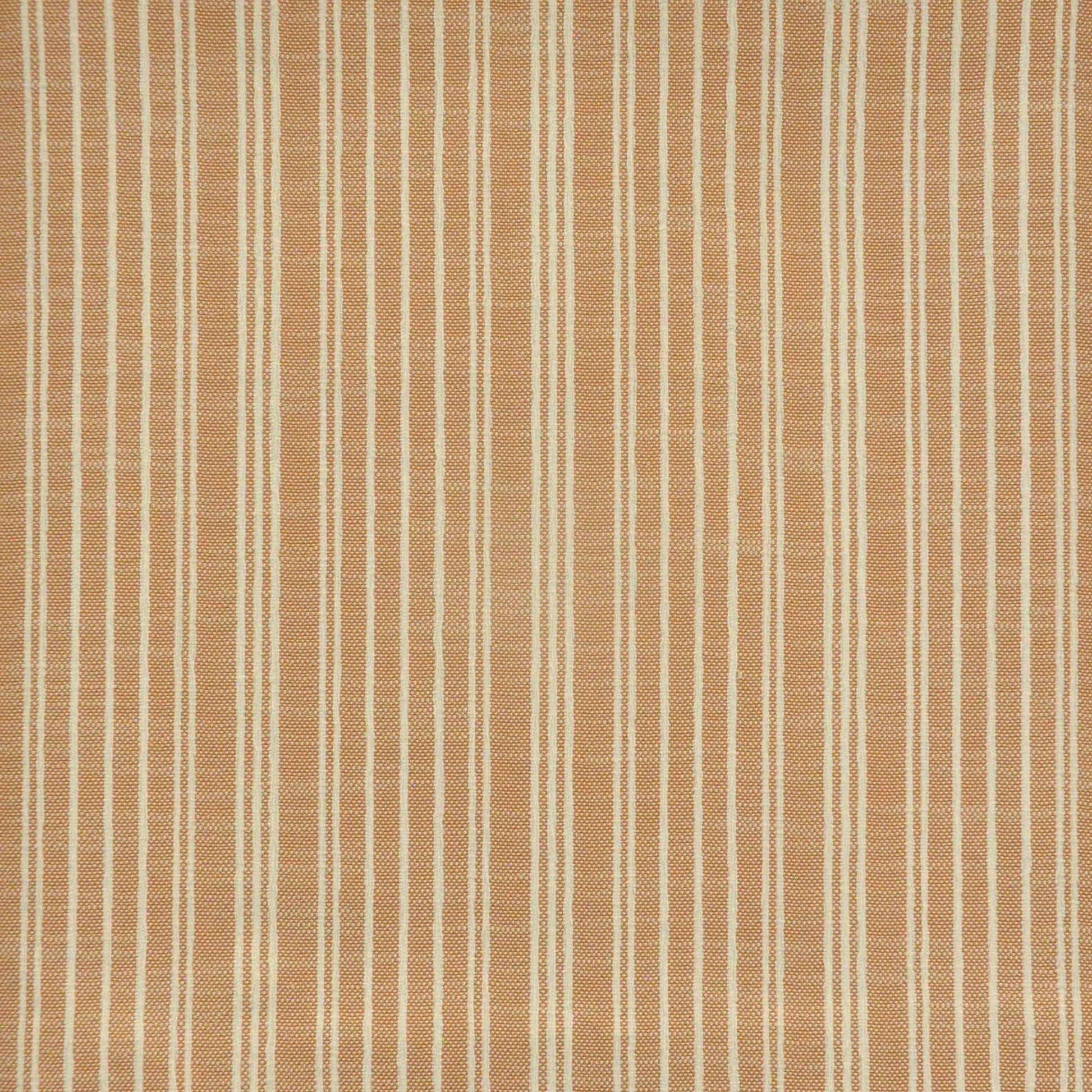 Purchase Maxwell Fabric - Hilroy, # 920 Macaroon