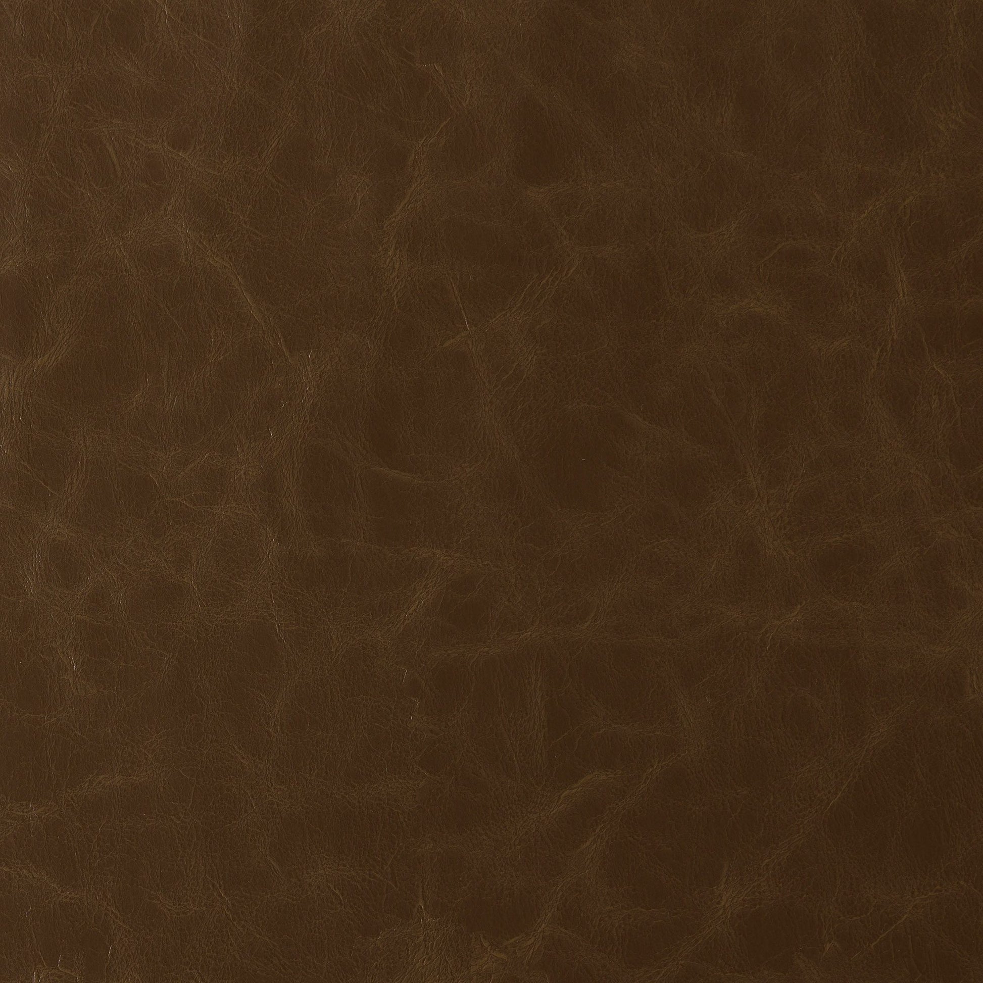 Purchase JF Fabric - Howdy 36J9591