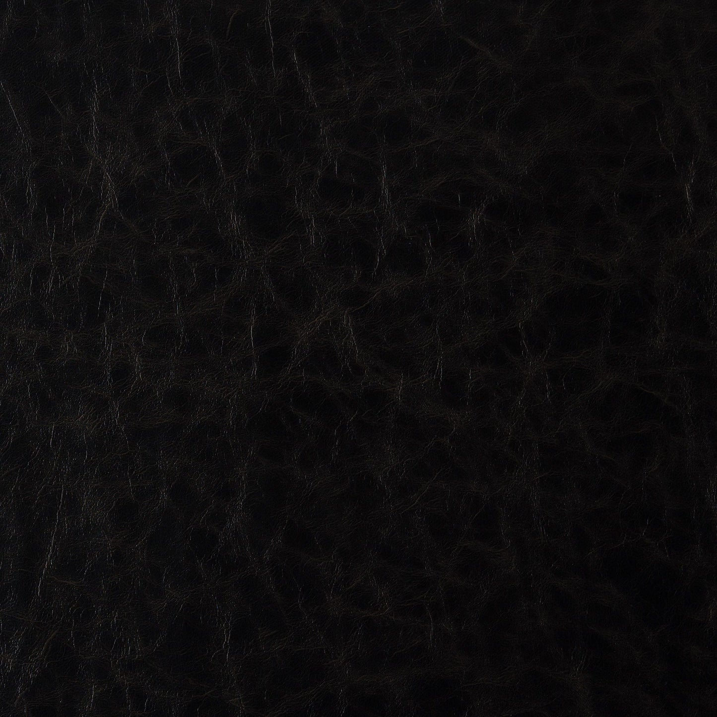 Purchase JF Fabric - Howdy 98J9591