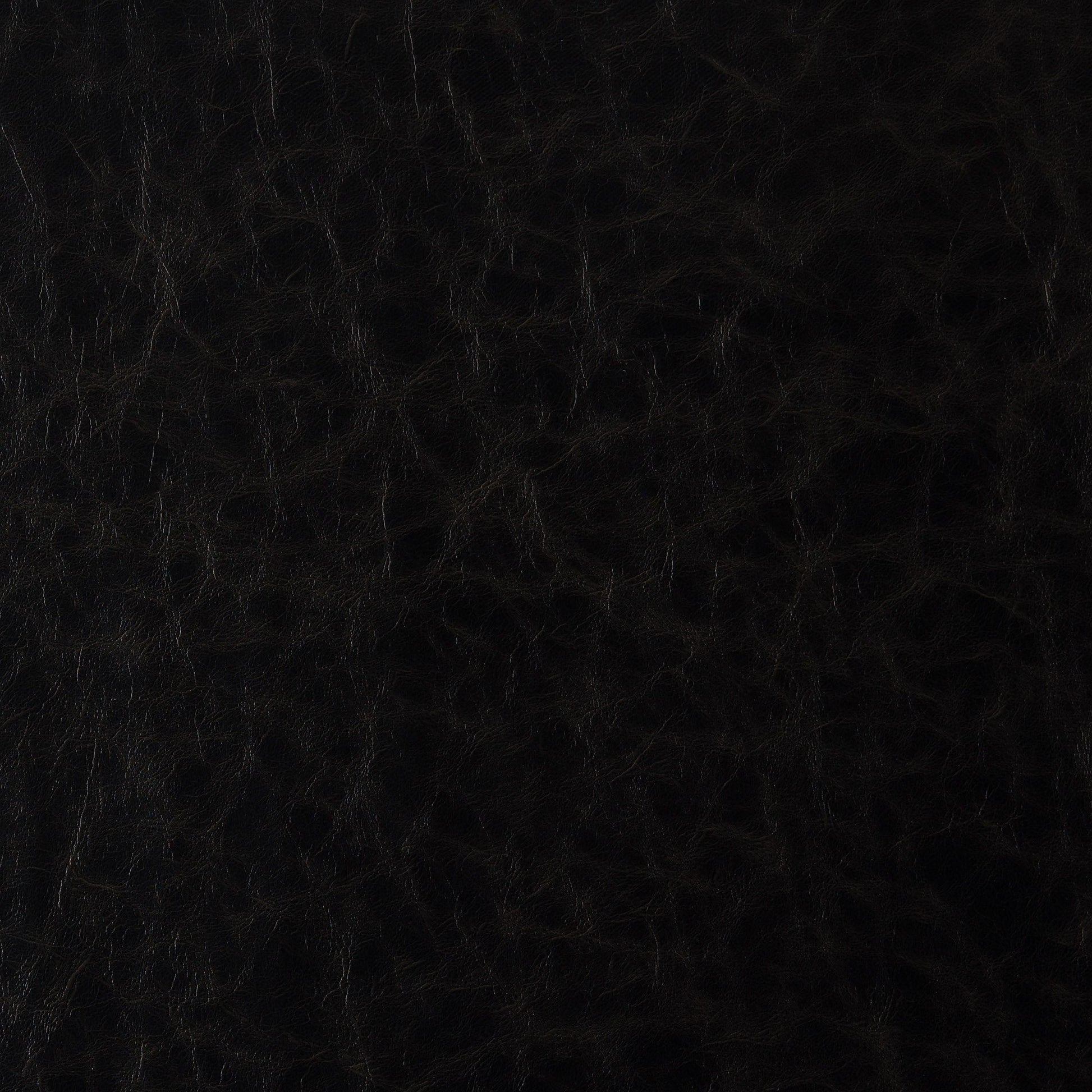 Purchase JF Fabric - Howdy 98J9591