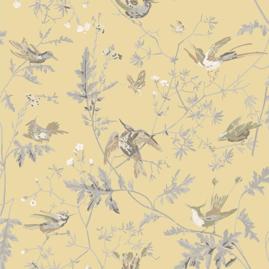Purchase F111/1001 Hummingbirds, Cole and Son Contemporary Fabrics - Cole and Son Fabric - F111/1001.Cs.0