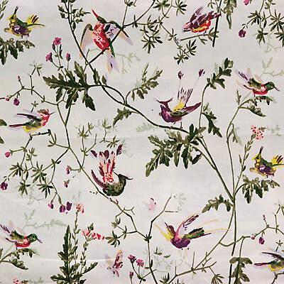 Sample F111-1002 Hummingbirds Bright Multi by Cole and Son Fabric