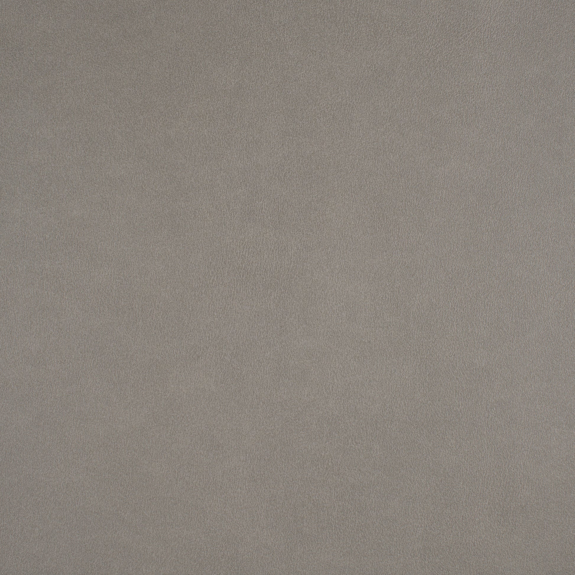 Purchase Maxwell Fabric - Icon, # 707 Minnow