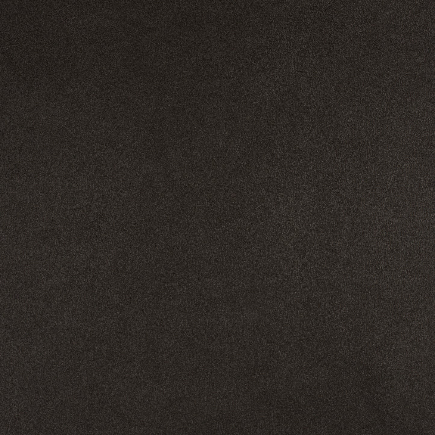 Purchase Maxwell Fabric - Icon, # 718 Oolong