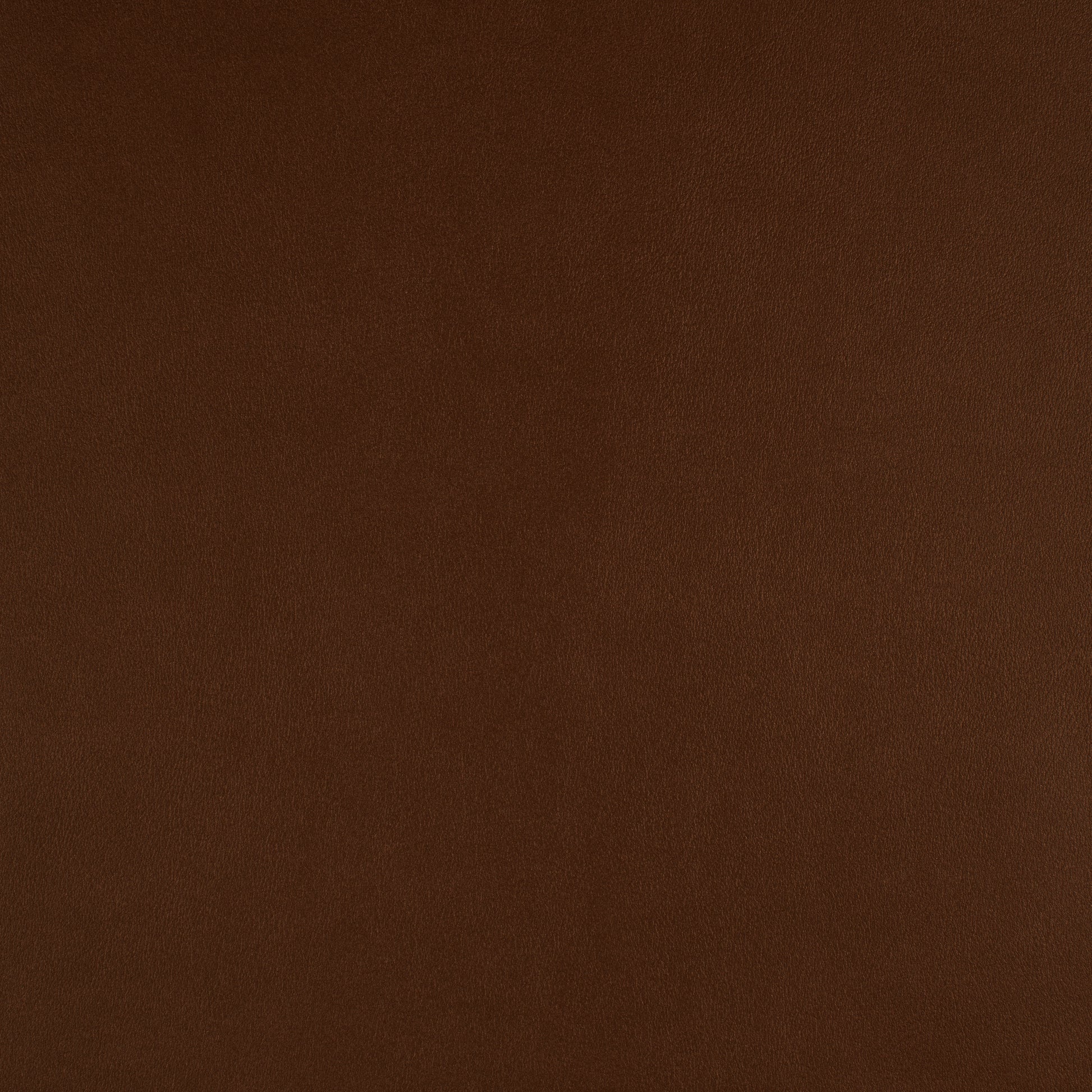 Purchase Maxwell Fabric - Icon, # 736 Redwood