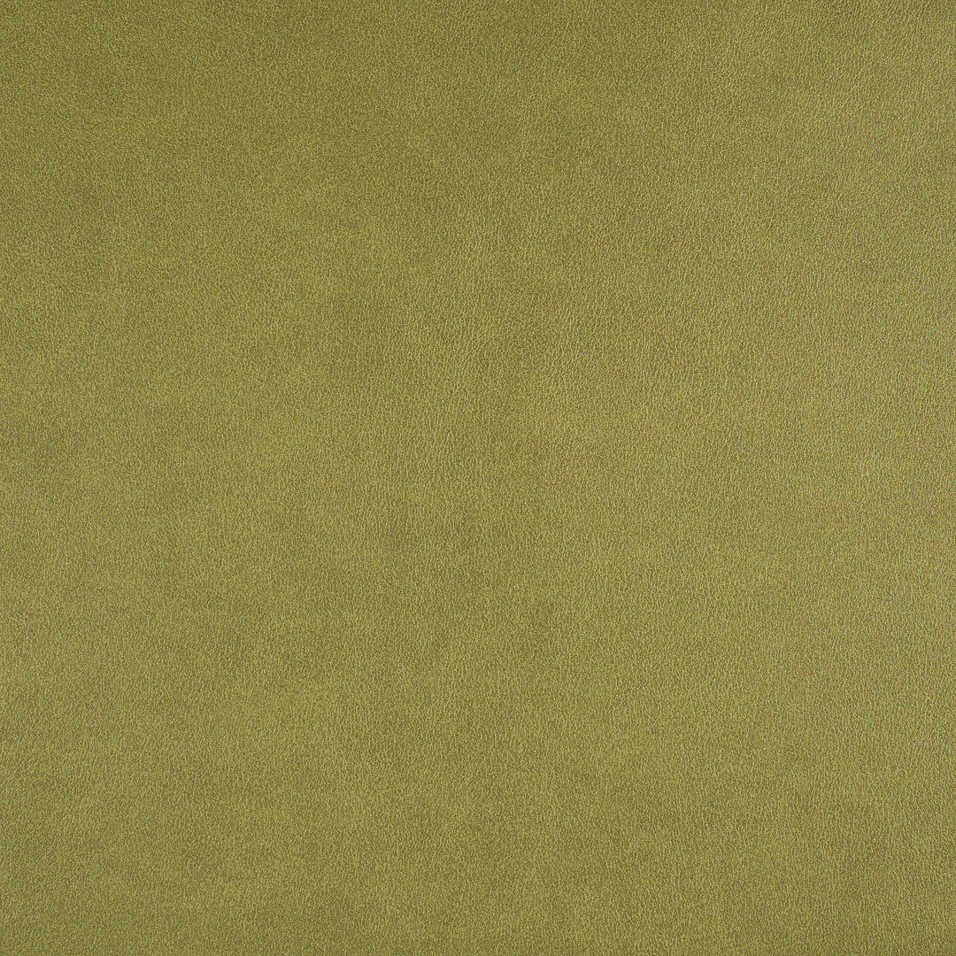 Icon | # 741 Spring - Maxwell Fabric