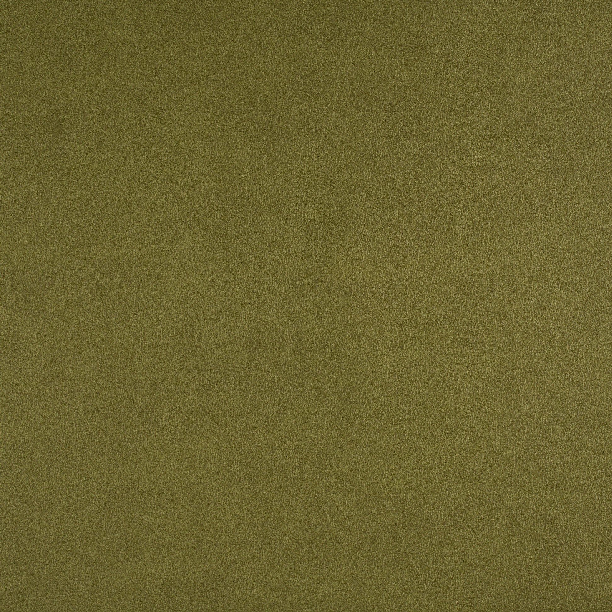 Purchase Maxwell Fabric - Icon, # 741 Spring