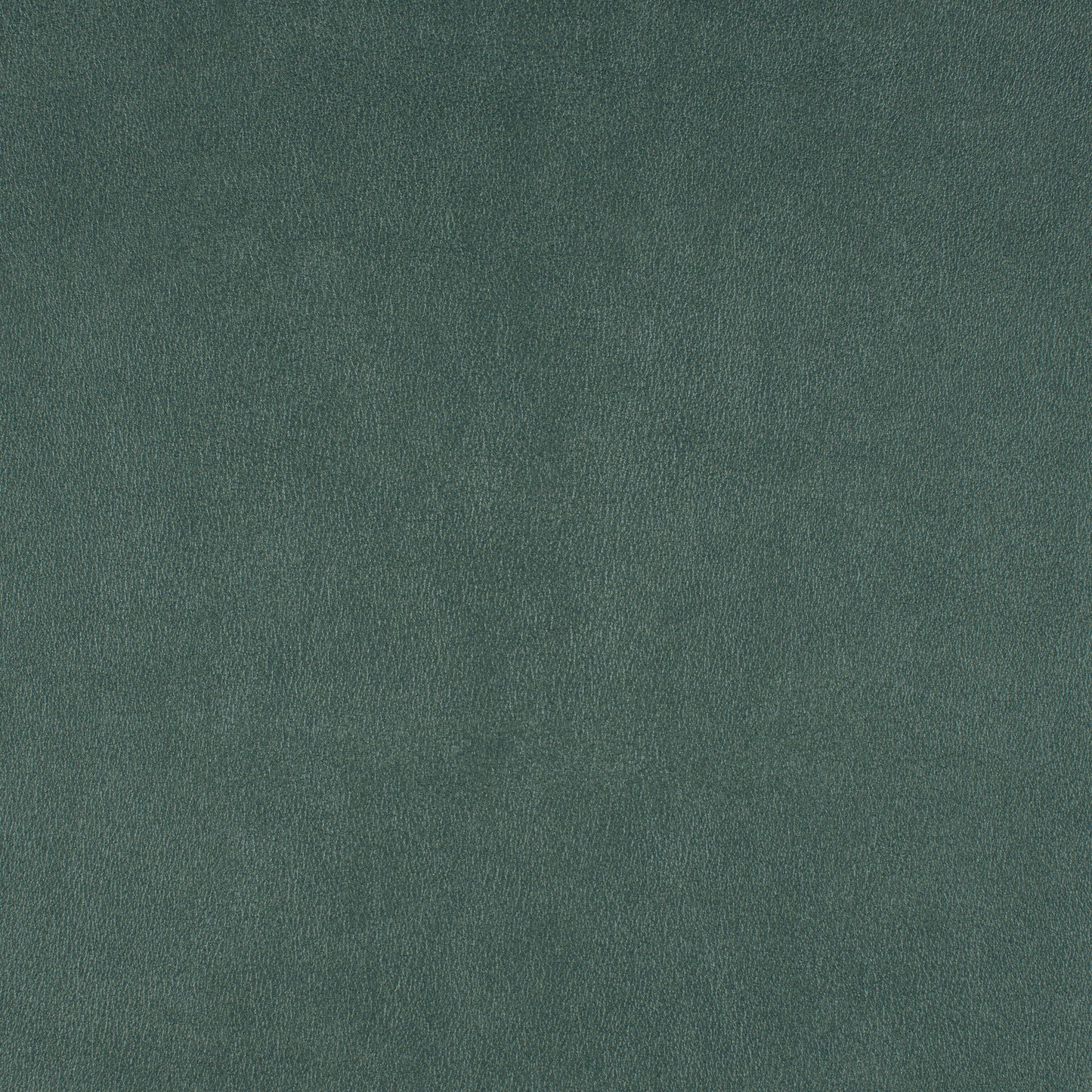 Purchase Maxwell Fabric - Icon, # 748 Shoreline
