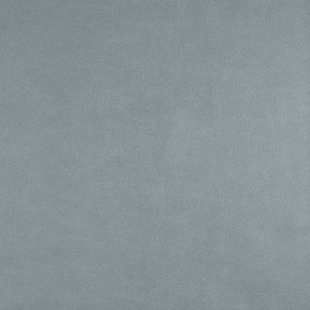 Icon | # 752 Skylight - Maxwell Fabric