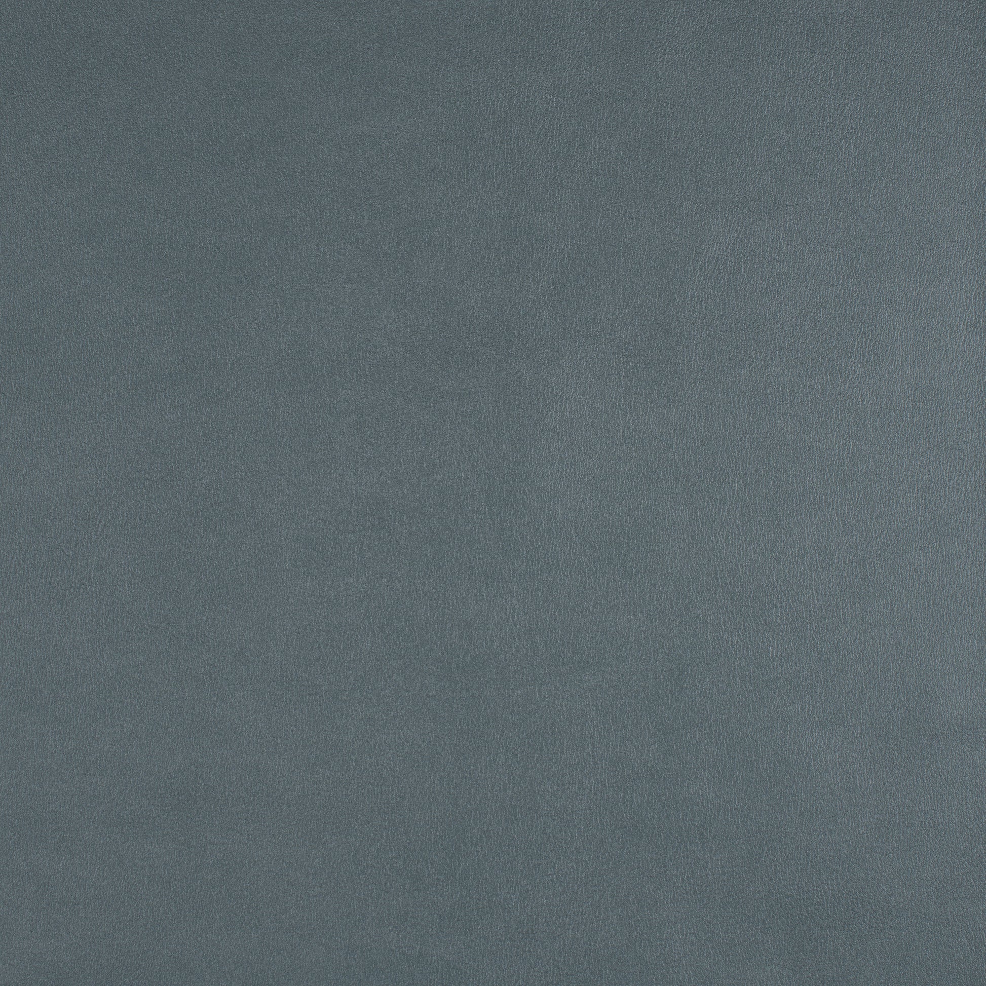 Purchase Maxwell Fabric - Icon, # 752 Skylight