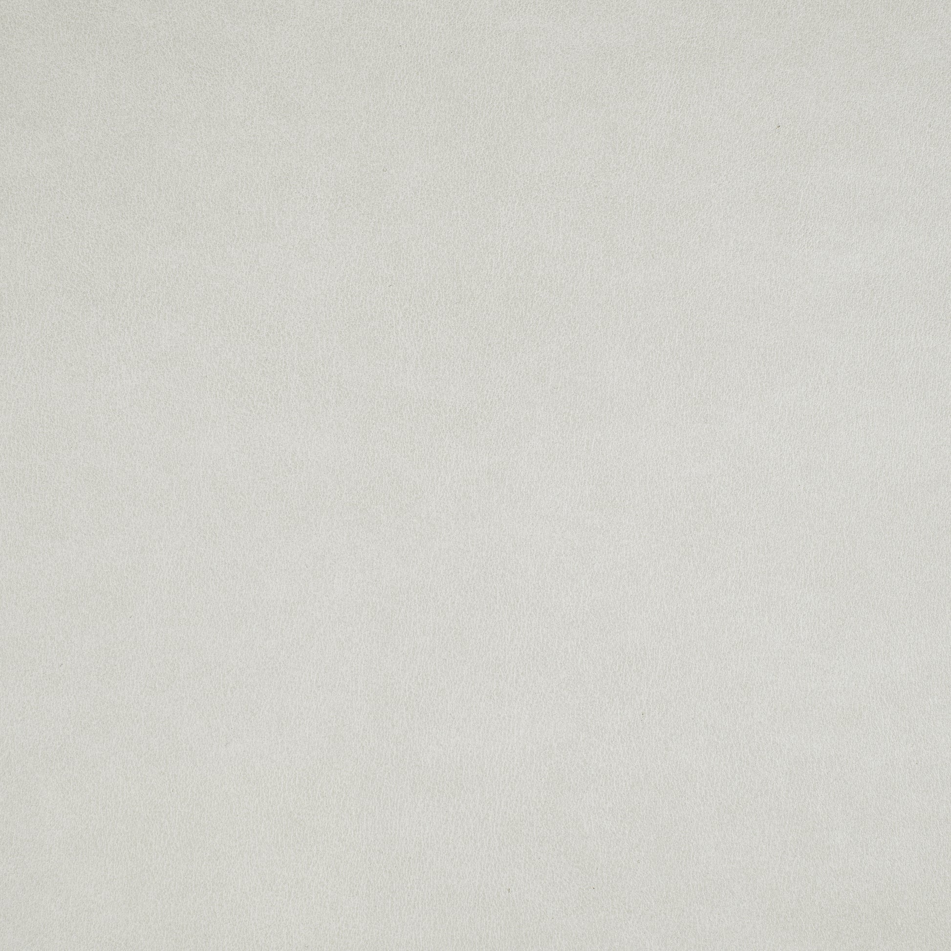 Purchase Maxwell Fabric - Icon, # 790 Vapor