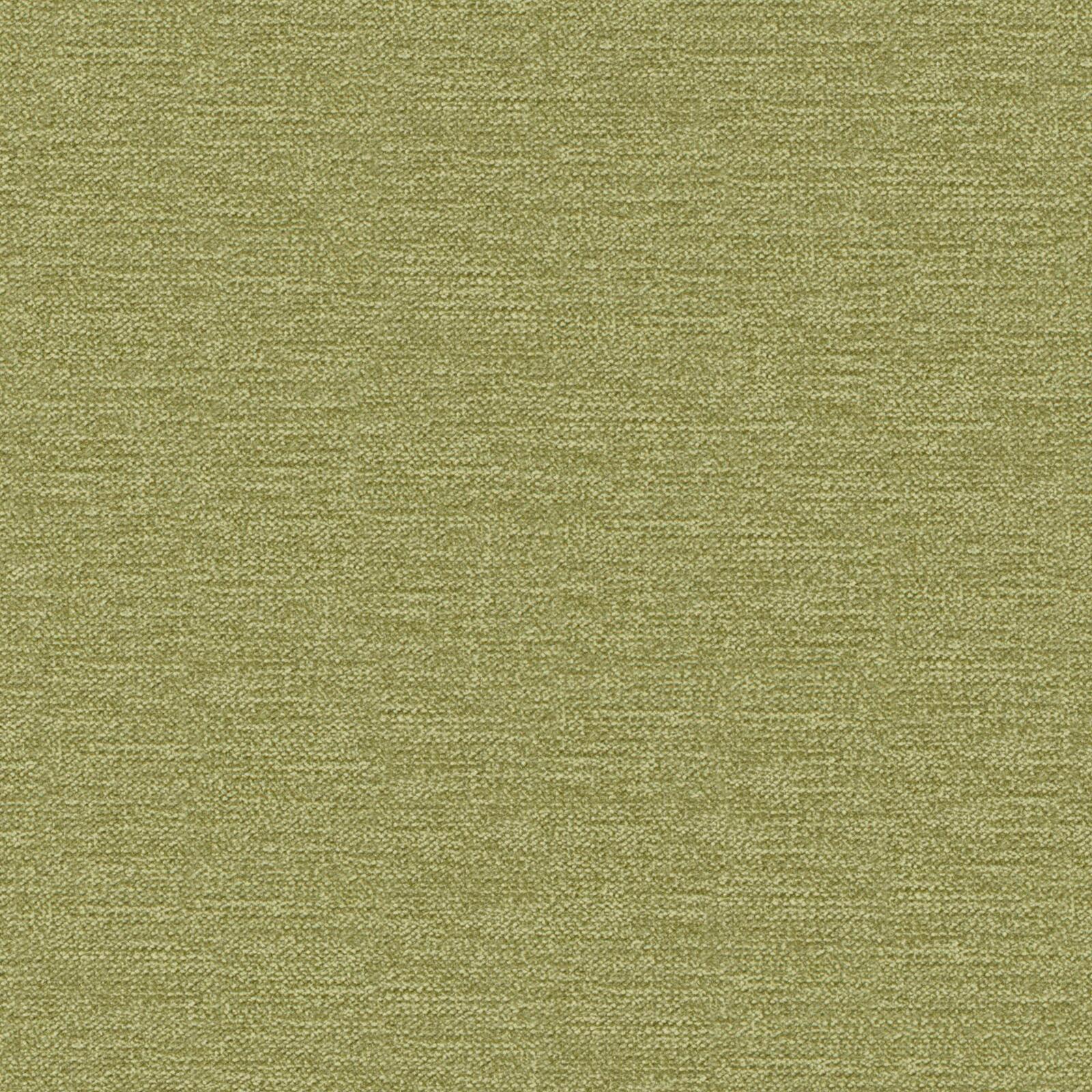 Purchase Maxwell Fabric - Impasto, # 810 Fern