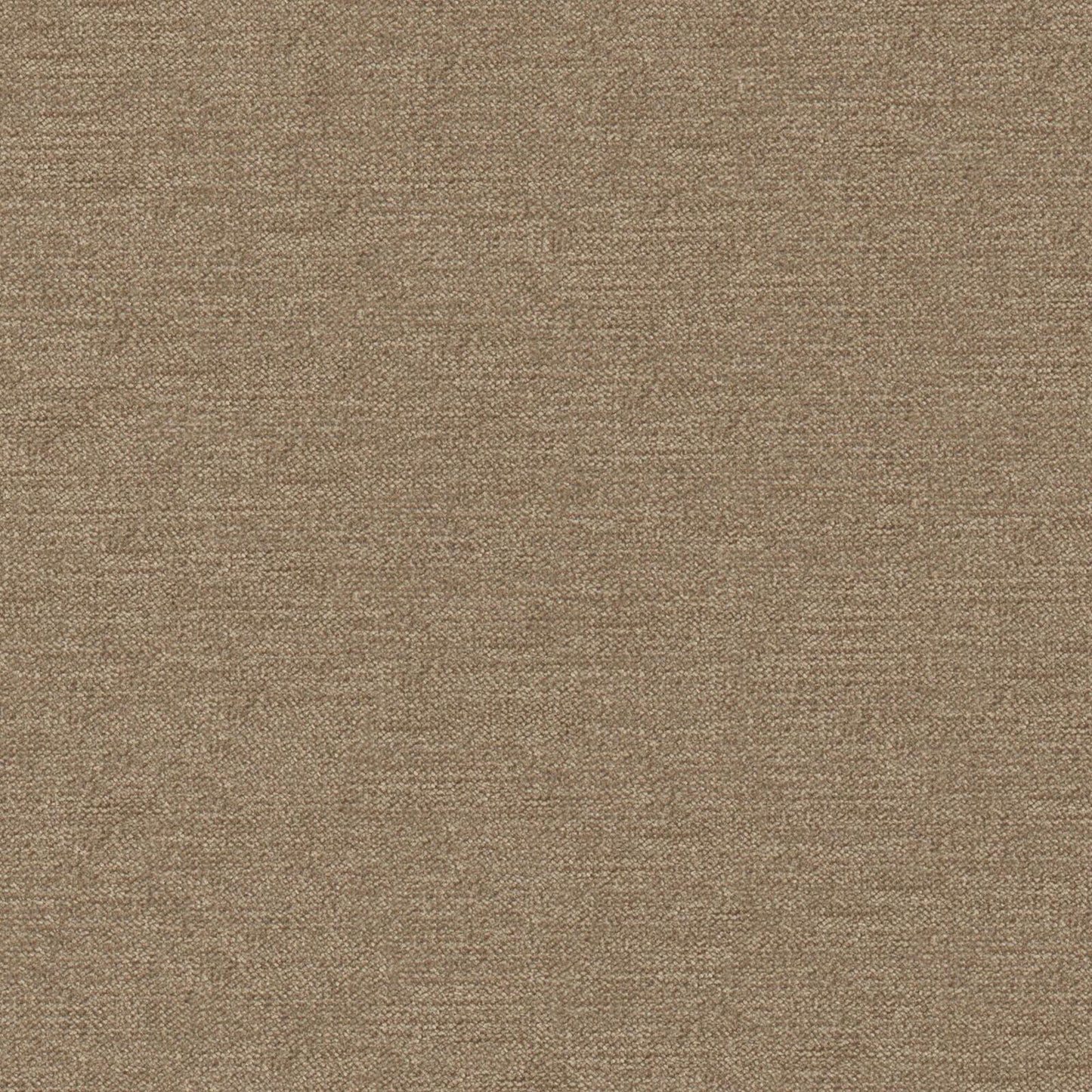 Purchase Maxwell Fabric - Impasto, # 912 Sparrow