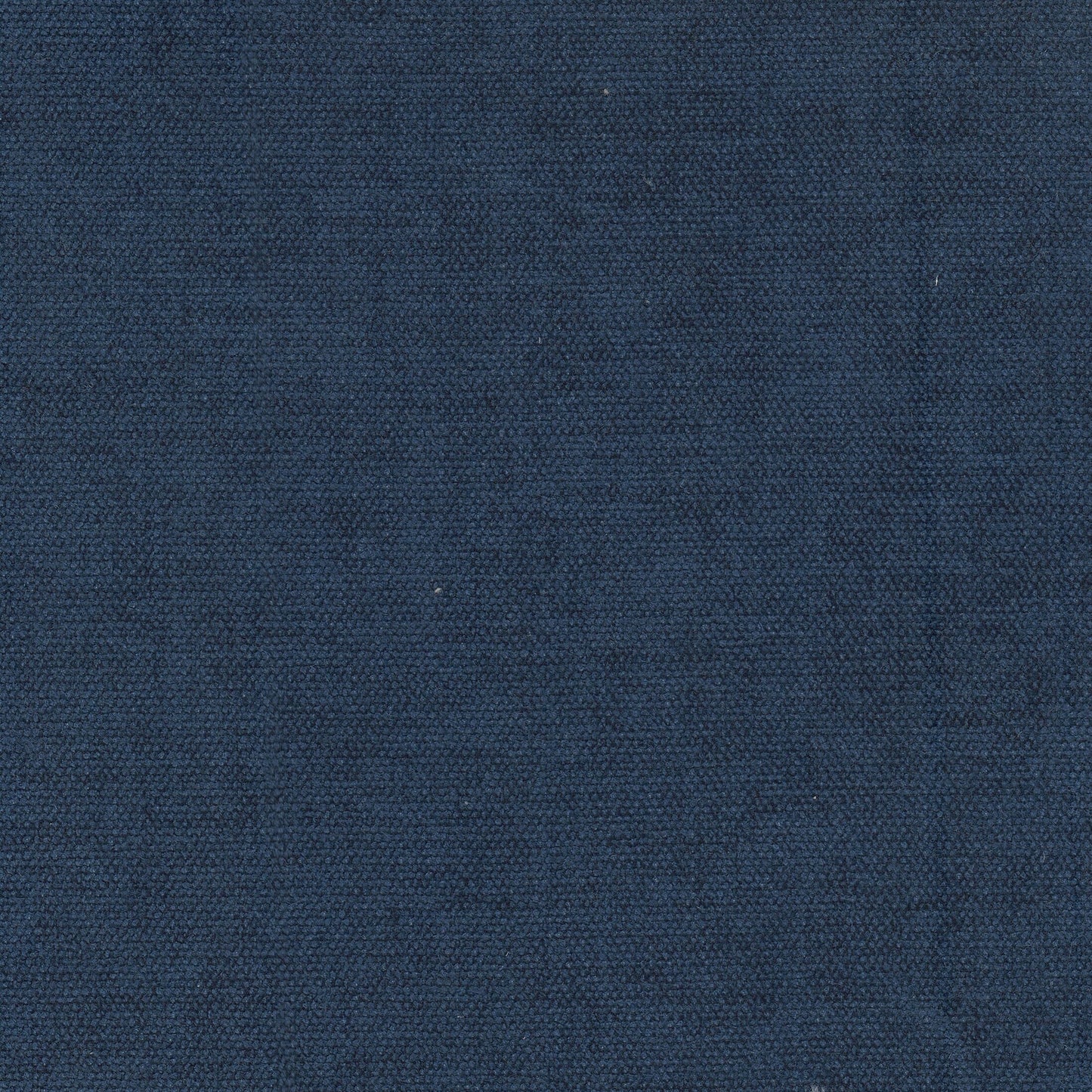 Purchase Stout Fabric SKU Interact 5 Cobalt