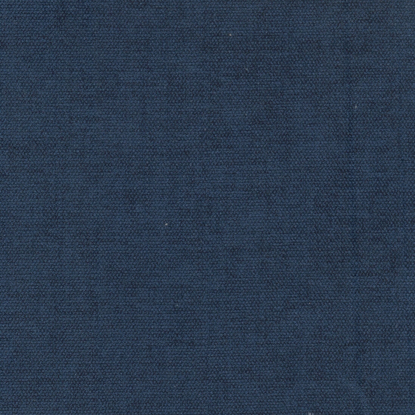 Purchase Stout Fabric SKU Interact 5 Cobalt