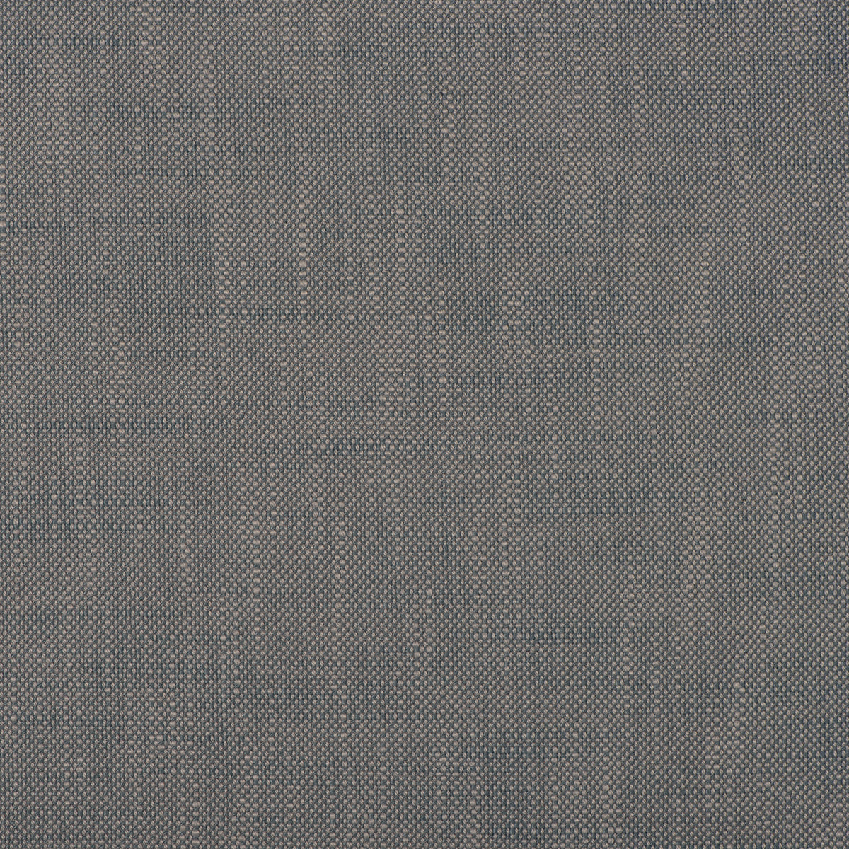 Purchase Mag Fabric Pattern number 10575 Insideout Frances Denim Fabric