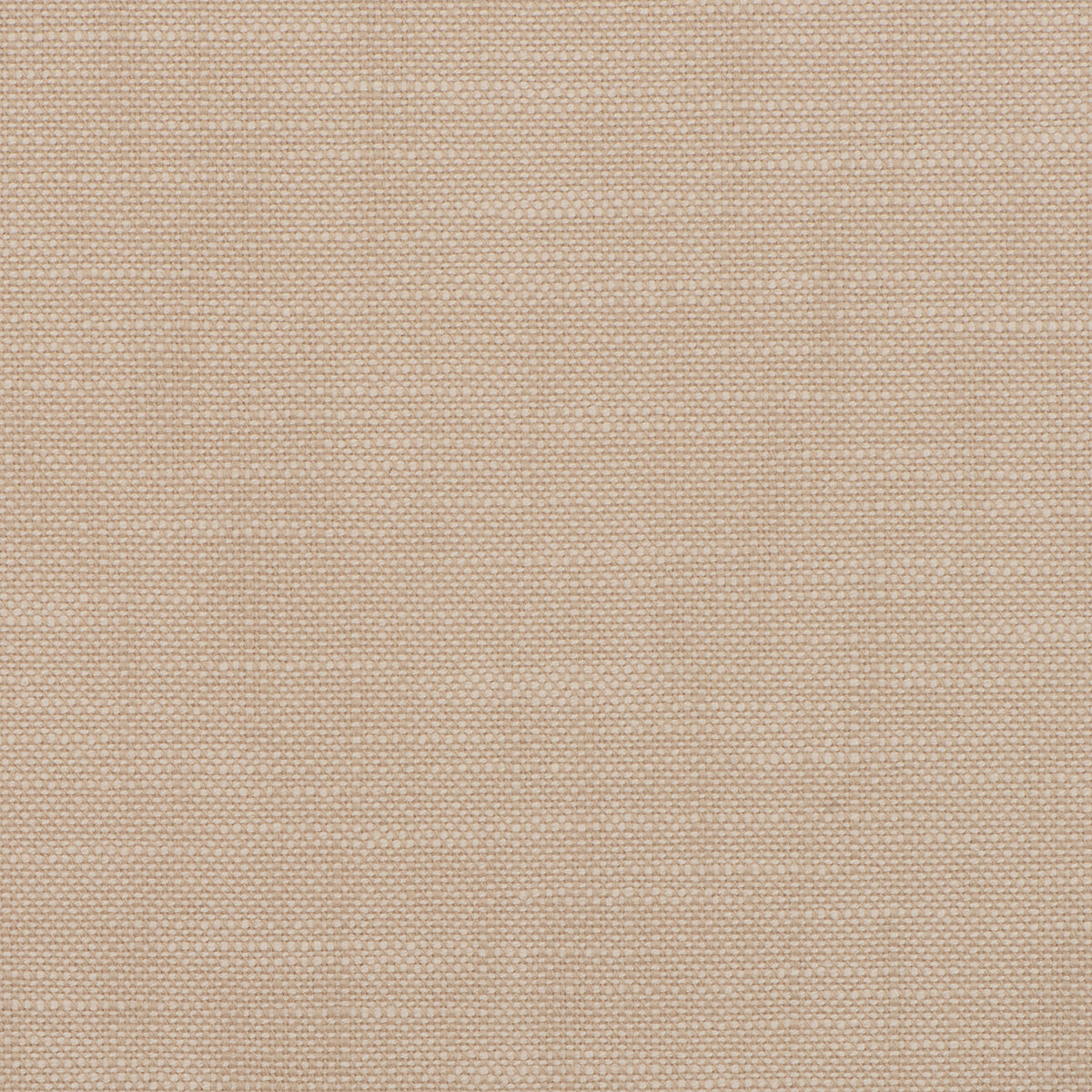 Purchase Mag Fabric Pattern# 10566 Insideout Frances Latte Fabric