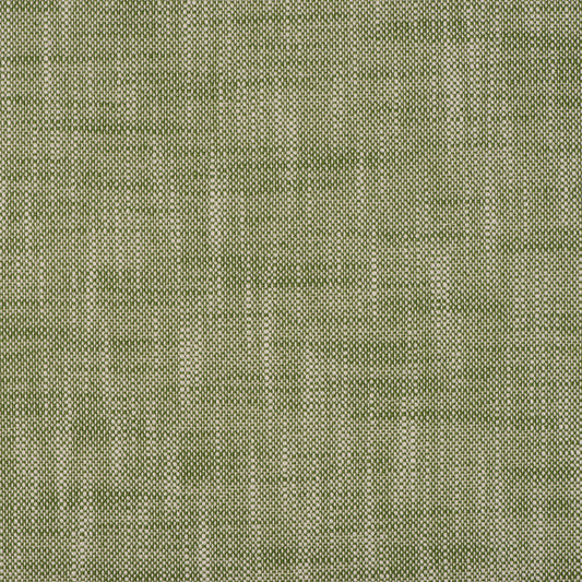 Purchase Mag Fabric Pattern number 10577 pattern name Insideout Frances Lawn