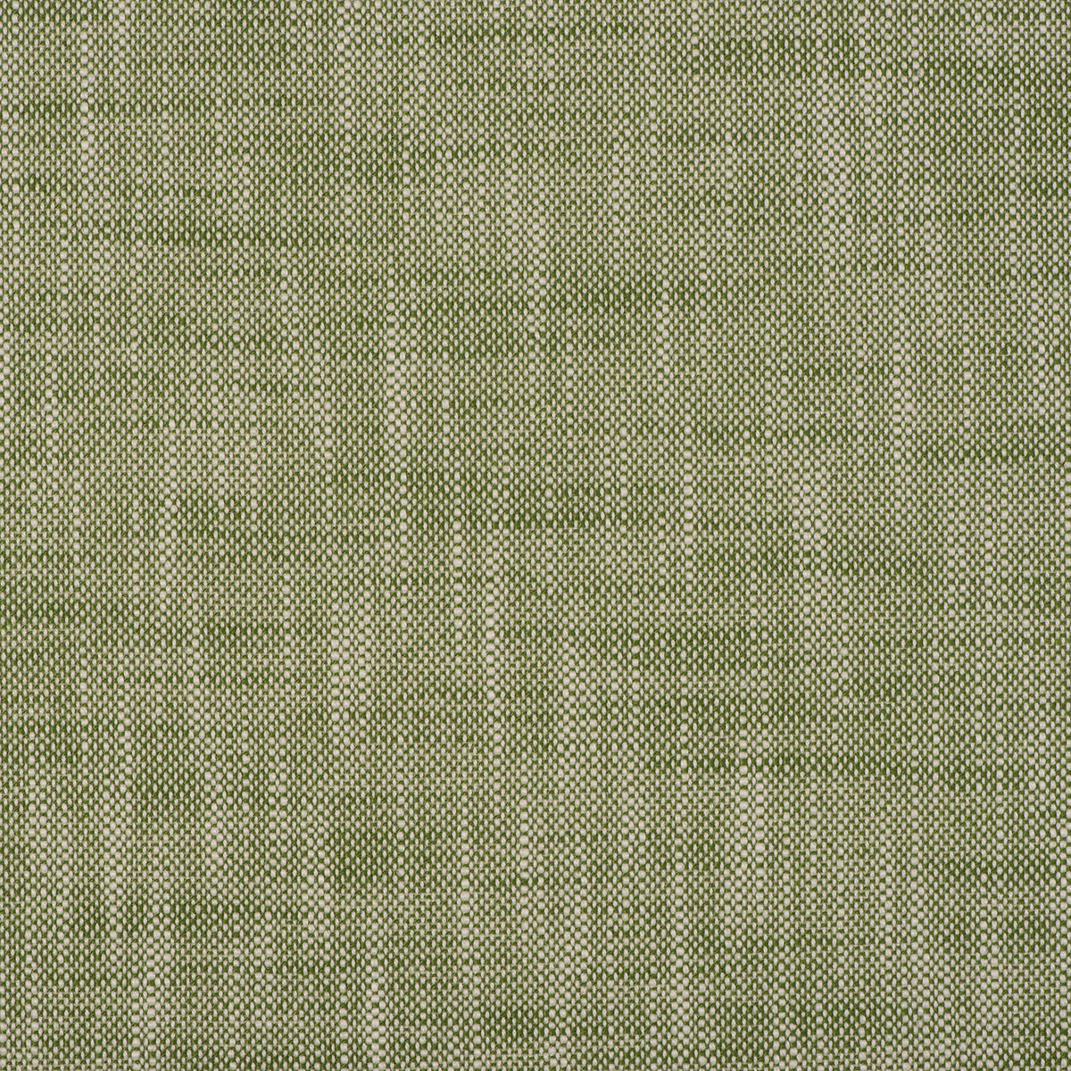 Purchase Mag Fabric Pattern number 10577 pattern name Insideout Frances Lawn