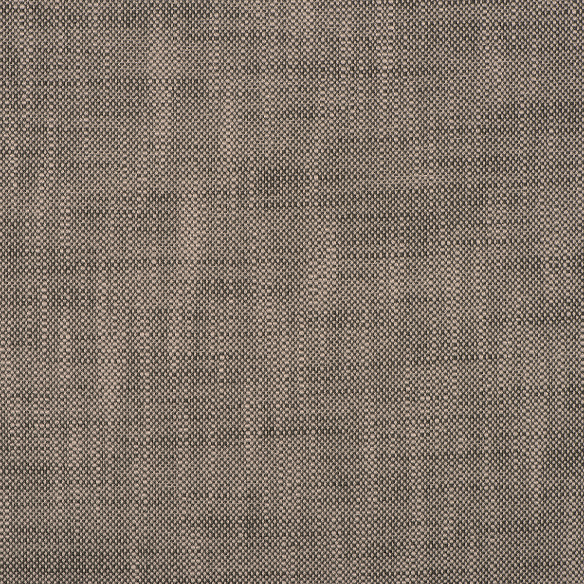Purchase Mag Fabric Item# 10569 pattern name Insideout Frances Mink