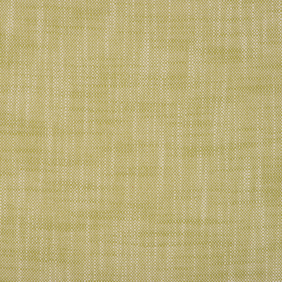 Purchase Mag Fabric Pattern 10579 pattern name Insideout Frances Palm