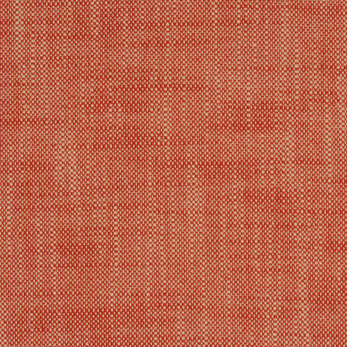 Purchase Mag Fabric Item# 10583 Insideout Frances Salsa Fabric