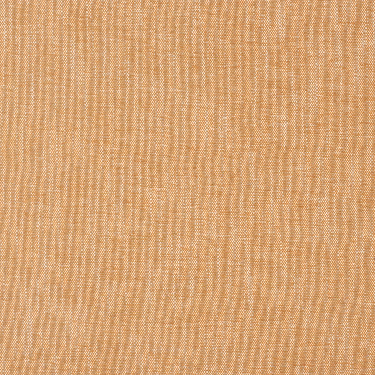 Purchase Mag Fabric Pattern# 10490 Insideout Lolly Camel Fabric